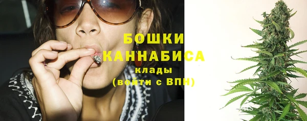 спайс Сясьстрой