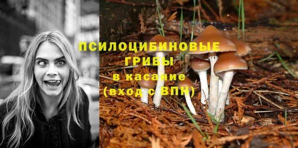прущие крисы Строитель